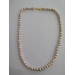 A string of cultured pearls - Length 44cm