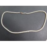 A cultured pearl necklace consisting of 118 cultured Akoya pearls, plain strung and graduating in