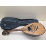 A Mandolin with a Donn & Davidson label and soft carry case