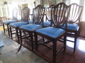 A set of eight mahogany dining chairs including two carvers - in good condition