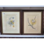 Two framed floral prints frames 60cm x 49cm - glass missing to one otherwise reasonably good
