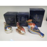 Three Royal Crown Derby bird paperweights Firecrest, Wren and Wax wing - all good and boxed