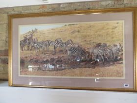 A signed David Coombs print 170/850 of Zebras - Width 101cm x Height 62cm - in good condition