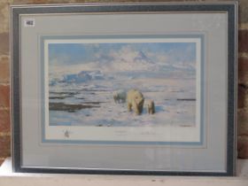 A David Shepherd signed print 138/500 Ice Wilderness - in good condition - Width 62cm x Height 48cm