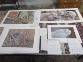 Four unframed prints - A Carl Brenders print Tundra Summit Arctic Wolves, signed, 53cm x 101cm,