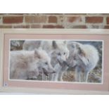 A signed print Artic Wolves 784/6061 by Carl Brenders - Width 110cm x Height 62cm