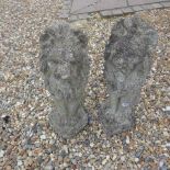 A pair of stone effect lions - Height 58cm