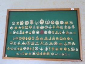 A mounted and framed display of British Military cap badges - 117 in total - 65cm x 95cm