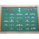 A well presented collection of Rhodesia Military cap and cloth badges including SAS - frame size