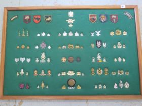 A well presented collection of Rhodesia Military cap and cloth badges including SAS - frame size