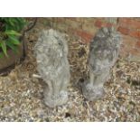 A pair of concrete garden lions - Height 55cm