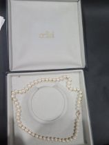 A single string of equal sized cultured pearls with 9ct gold clasp - approx 44cm along with a