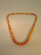 A string of graduated amber beads, continuous string - largest bead approx 2.5cm - total weight