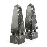 A PAIR OF FOSSIL SPECIMEN MARBLE OBELISKS C.1900 of tapering form on four ball feet and a