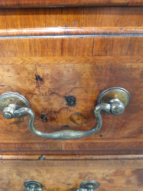 A GEORGE II BURR WALNUT AND WALNUT SECRETAIRE CABINET ON CHESTC.1730with cross and feather - Image 9 of 64