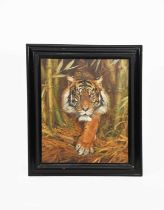 Charles E Thomas ARBSA (1883-1981) Sumatran Tiger, oil on canvas in ebonised wood frame, original