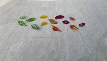 Cathy O’Doherty (b.1962) Leaves through the Seasons Fused glass Largest leaf 15cm x 10cm Horatio's