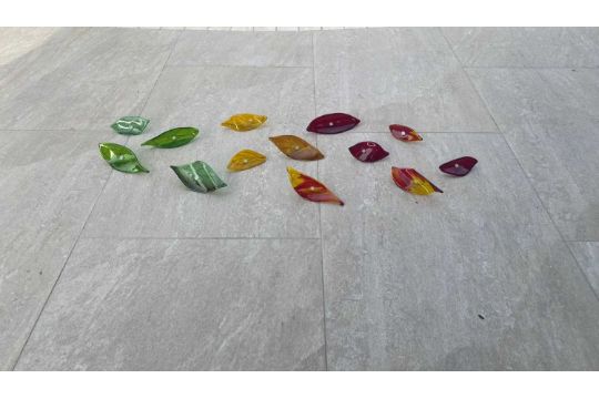 Cathy O’Doherty (b.1962) Leaves through the Seasons Fused glass Largest leaf 15cm x 10cm Horatio's - Image 1 of 2