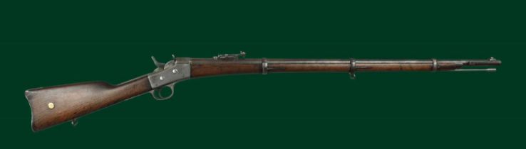 Remington: an 11.7x51.6mmR Danish Remington rolling block service rifle, serial number 1789,