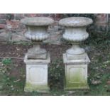 A pair of weathered cast composition stone garden urns with flared egg and dart rims and lobbed
