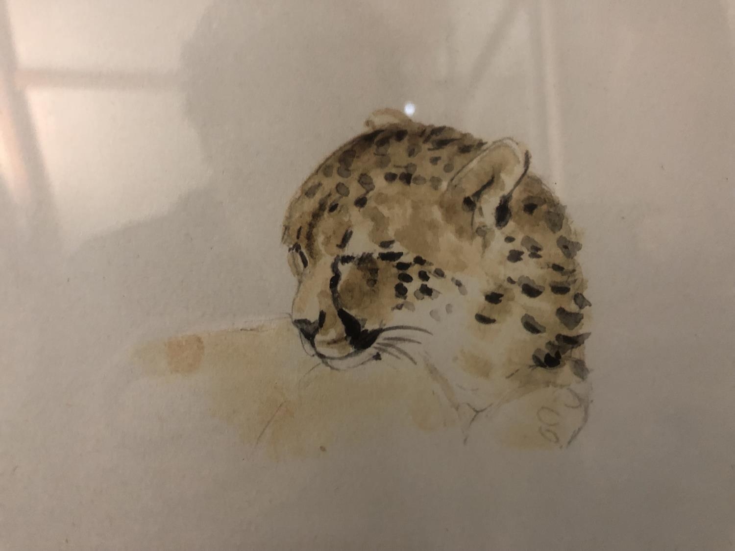 Joy Adamson - (1910-1980) - Cheetahs Resting, limited edition print (214/500), published by The - Image 6 of 6