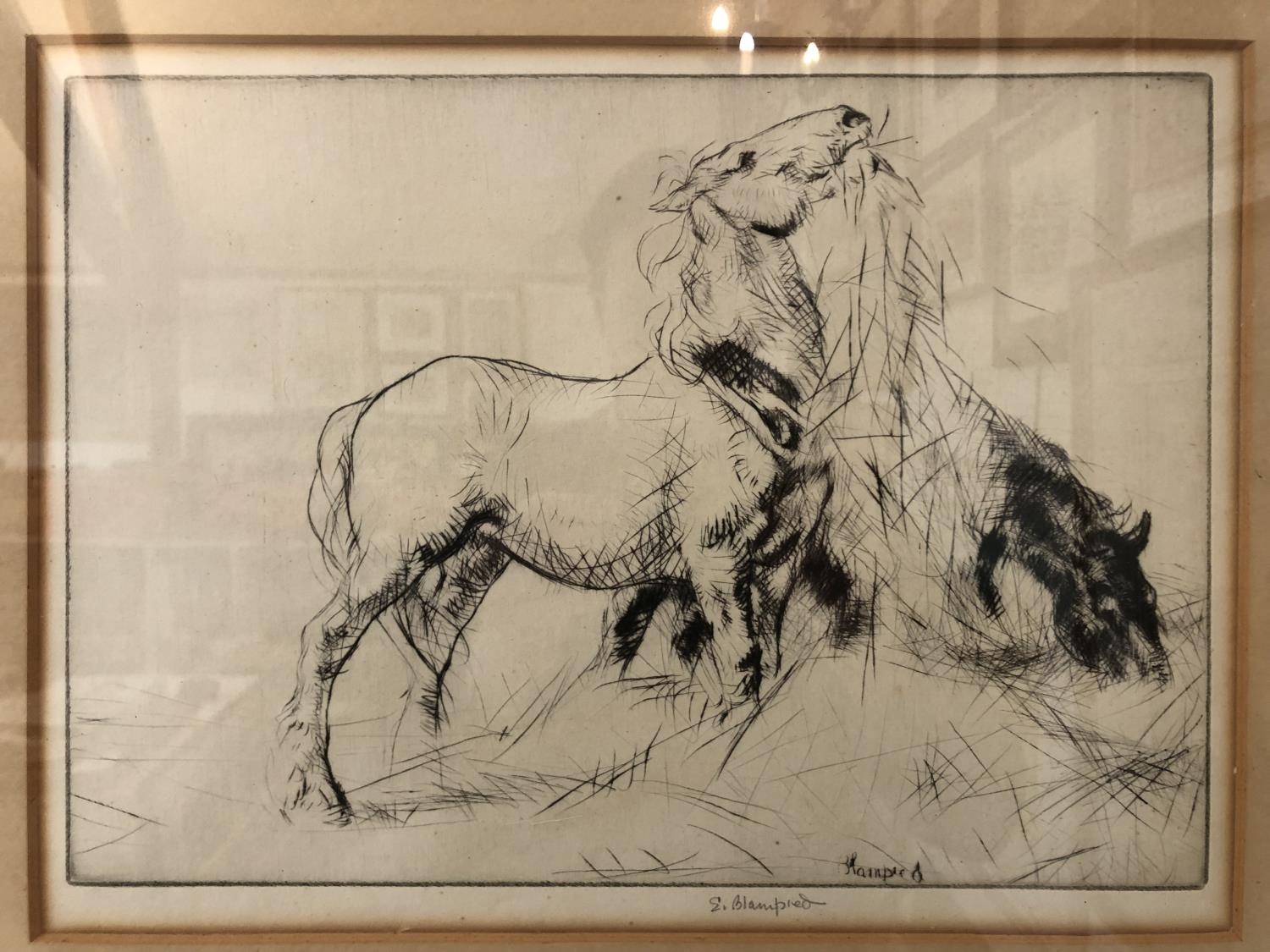 Edmund Blampied (1886-1966) - 'Horse Eating Hay', 1923, drypoint etching, signed in pencil below, 24 - Image 2 of 4