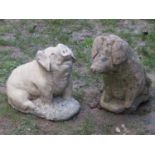 Two novelty weathered cast composition stone garden ornaments in the form of pigs in varying pose,