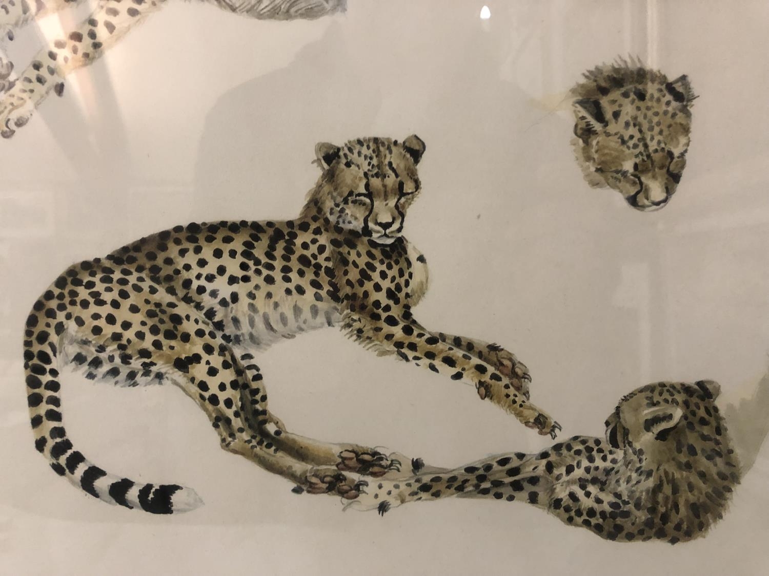 Joy Adamson - (1910-1980) - Cheetahs Resting, limited edition print (214/500), published by The - Image 5 of 6