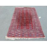 A Turkoman carpet with four rows of elephant foot guls, blue and red on a red ground, 190 x 130 cm