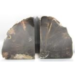 Two pieces of fossilised wood in the form of bookends.