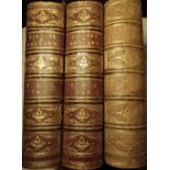 The Family History of England; Civil, Military, Social, Commercial and Religions to 1867, William