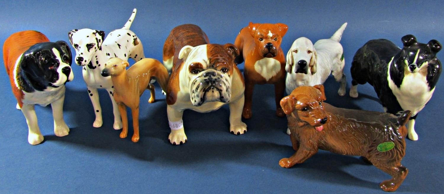 A collection of various Beswick dogs to include Bulldog, St Bernard, Dalmatian, Setter, etc (8)