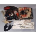 Two Edwardian Bird of Paradise headpieces or milliner's accessories together with a decorative box