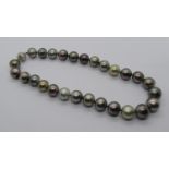 Tahitian pearl necklace with 18ct white gold openwork clasp set with diamonds, 157.8g