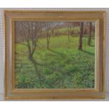 R. Collins (20/21st Century) - Field of Trees, oil on canvas, signed lower right, 50 x 60 cm, framed