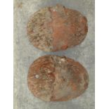 A pair of small weathered terracotta garden wall pockets with naturalistic combed bark detail,