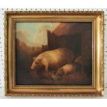 (19th/20th Century) Sow with Piglets, oil on canvas, unsigned, 30.5 x 25.5 cm, framed