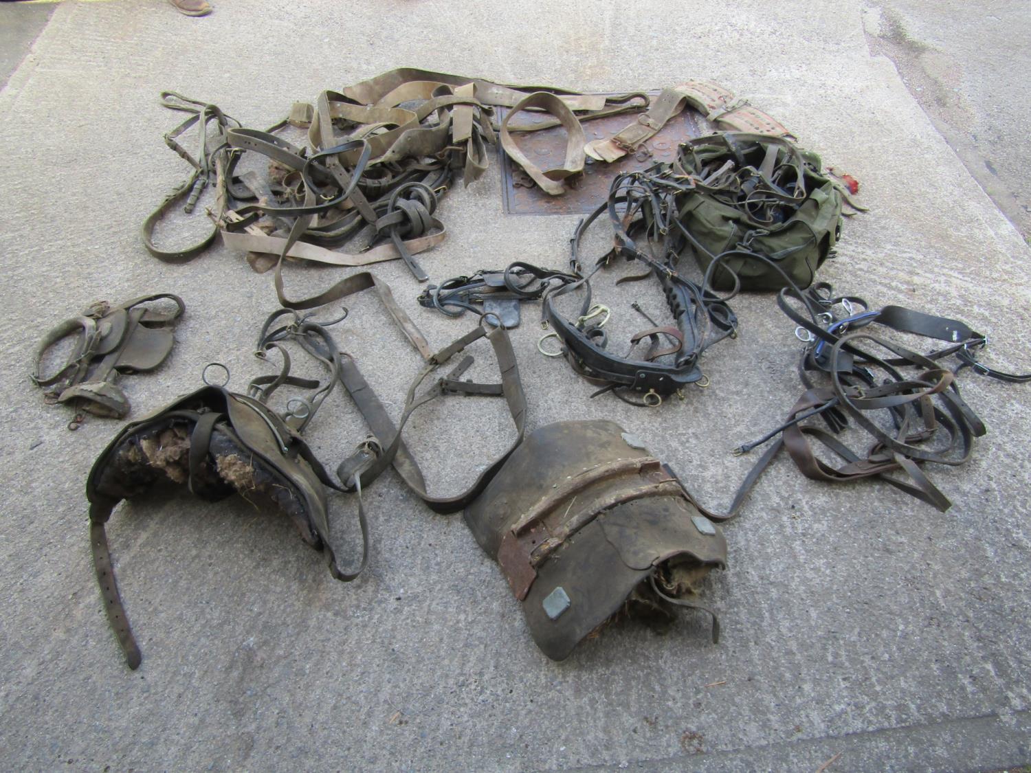 A quantity of horse harness/tack including a quantity of leather strap, blinkers, collars, etc,