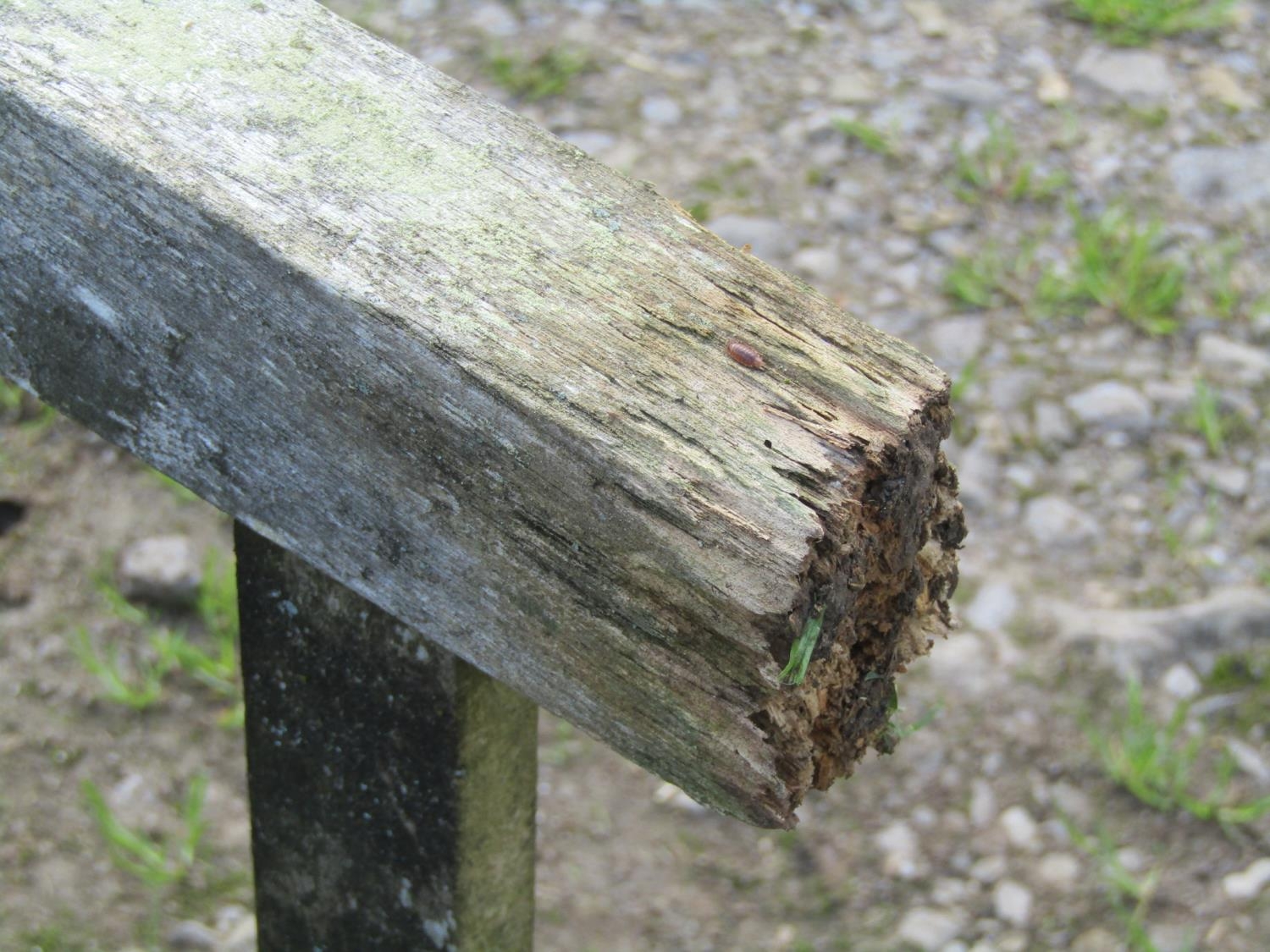 A weathered Gloster teak garden table with rectangular slatted panelled top, raised on rectangular - Image 5 of 5