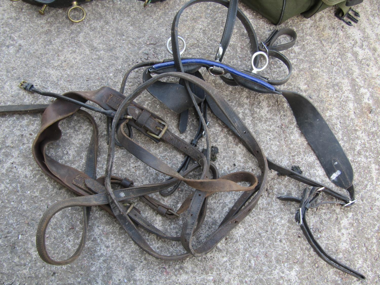 A quantity of horse harness/tack including a quantity of leather strap, blinkers, collars, etc, - Image 8 of 11