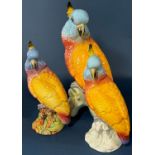 Three graduated Beswick cockatoos