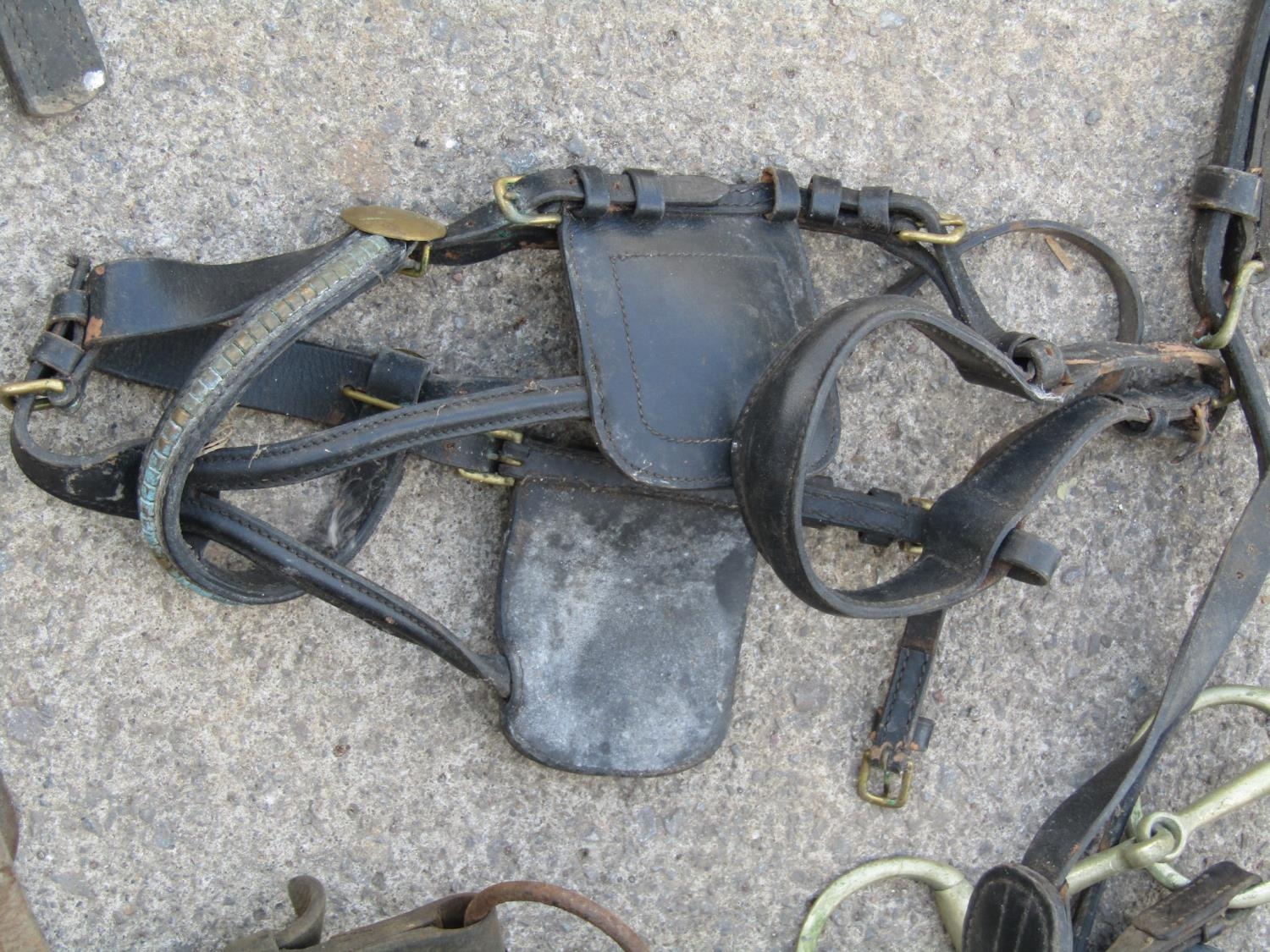 A quantity of horse harness/tack including a quantity of leather strap, blinkers, collars, etc, - Image 5 of 11