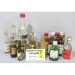 A quantity of alcoholic miniatures Pimms, Martell Cognac, Tia Maria, Courvoisier brandy, etc