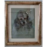 'Lulu' (Late 20th Century) - chalk and charcoal study of a poodle, titled in pencil below, 31 x 24