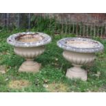 A pair of weathered cast composition stone garden urns, with flared rims, lobed bowls, raised on