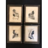 A Set of Four Regency Miniature Silhouette Portraits by Ingram Johnson, ink on card, signed in