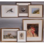 Five Contemporary Artworks and a Print to Include: Anne Cherry - Three watercolour studies of
