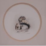 Mandy E. Shepherd (b.1960) - 'Grey Squirrel', watercolour, signed lower right, 14.5 cm diameter,