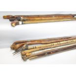 A collection of approximately twelve worked walking sticks and canes, some with carved animal head