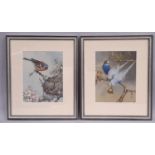 After Winfred Austen - Pair of colour prints on silk, 16 x 20 cm each, mounted, framed and glazed as